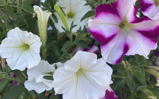 News - PODZIĘKOWANIA